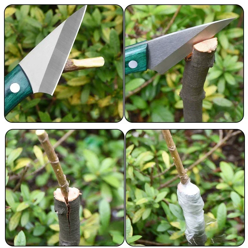 Bonsai Garden Knife - Stainless Steel Grafting Knife With Sheath