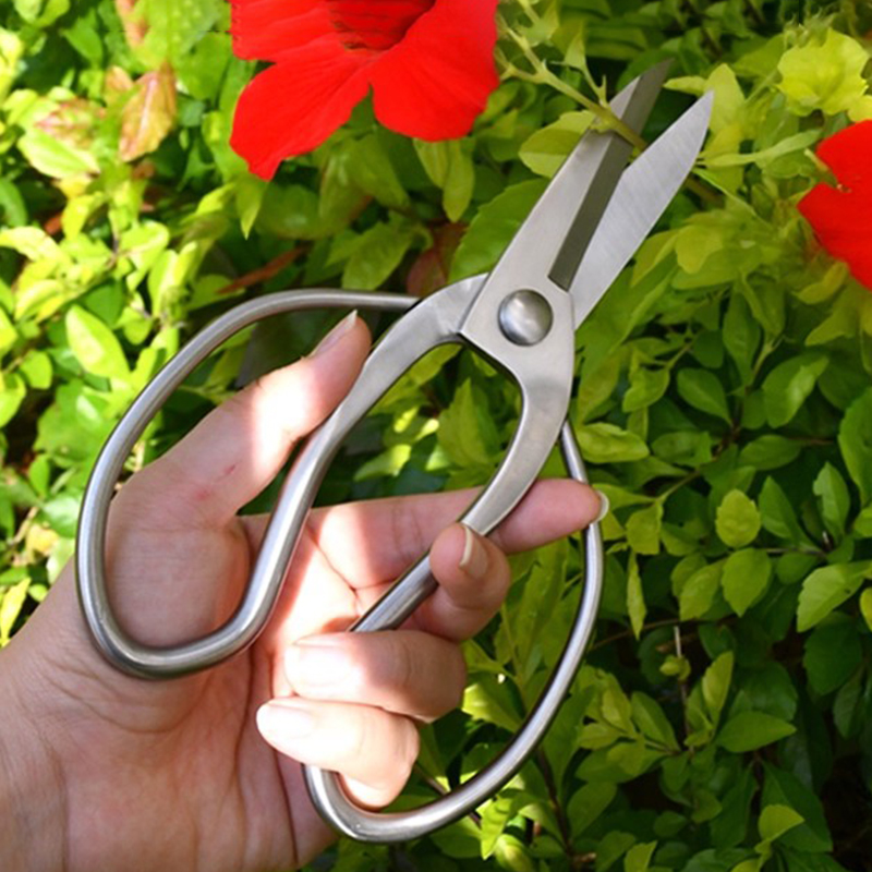 Bonsai Garden Knife - Stainless Steel Pruning Shears Portable Gardening