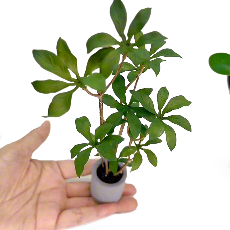 1:6 Dollhouse Miniature Potted - огляд і ціна Bonsai Garden Europe