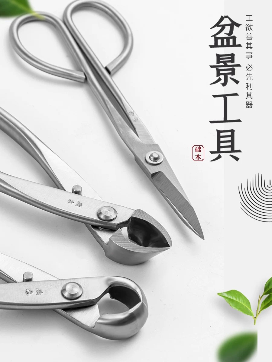Bonsai Tools Set (3pcs) Branch - огляд і ціна Bonsai Garden Rake