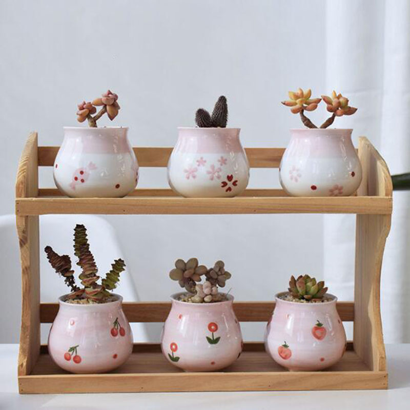 Cute Pink Girl Heart Series Fl - огляд і ціна Bonsai Garden Europe