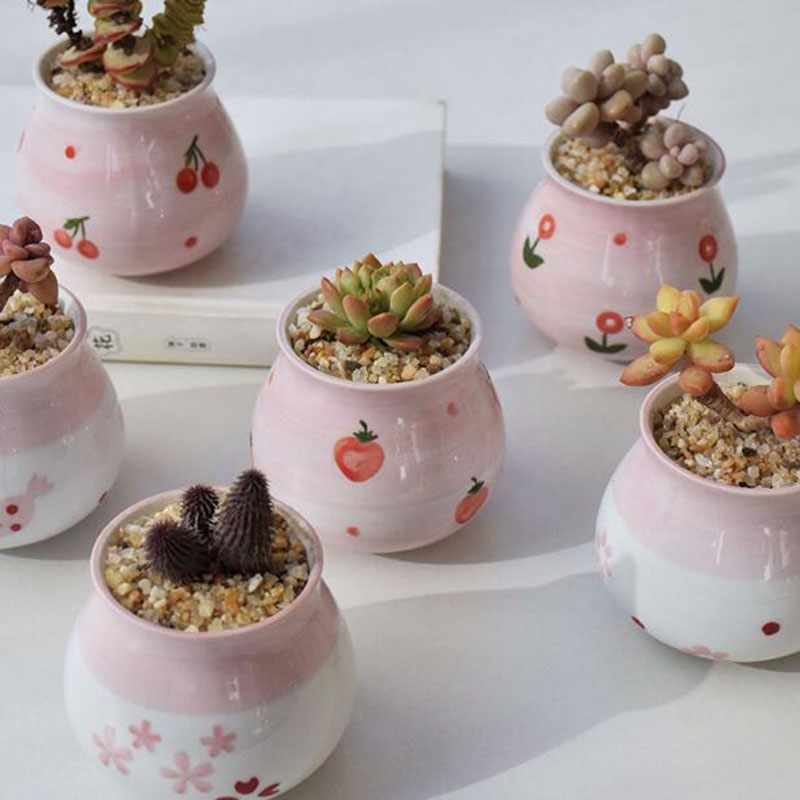 Cute Pink Girl Heart Series Fl - огляд і ціна Bonsai Garden Europe