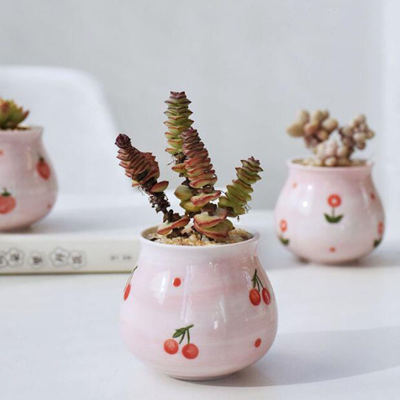 Cute Pink Girl Heart Series Fl - огляд і ціна Bonsai Garden Europe