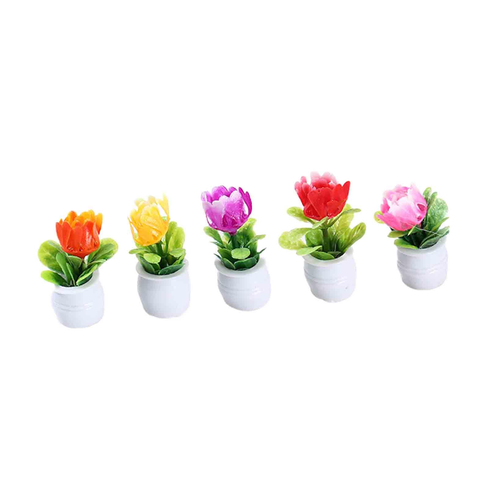 5Pcs 1:12 Dollhouse Miniature  - огляд і ціна Bonsai Garden Europe