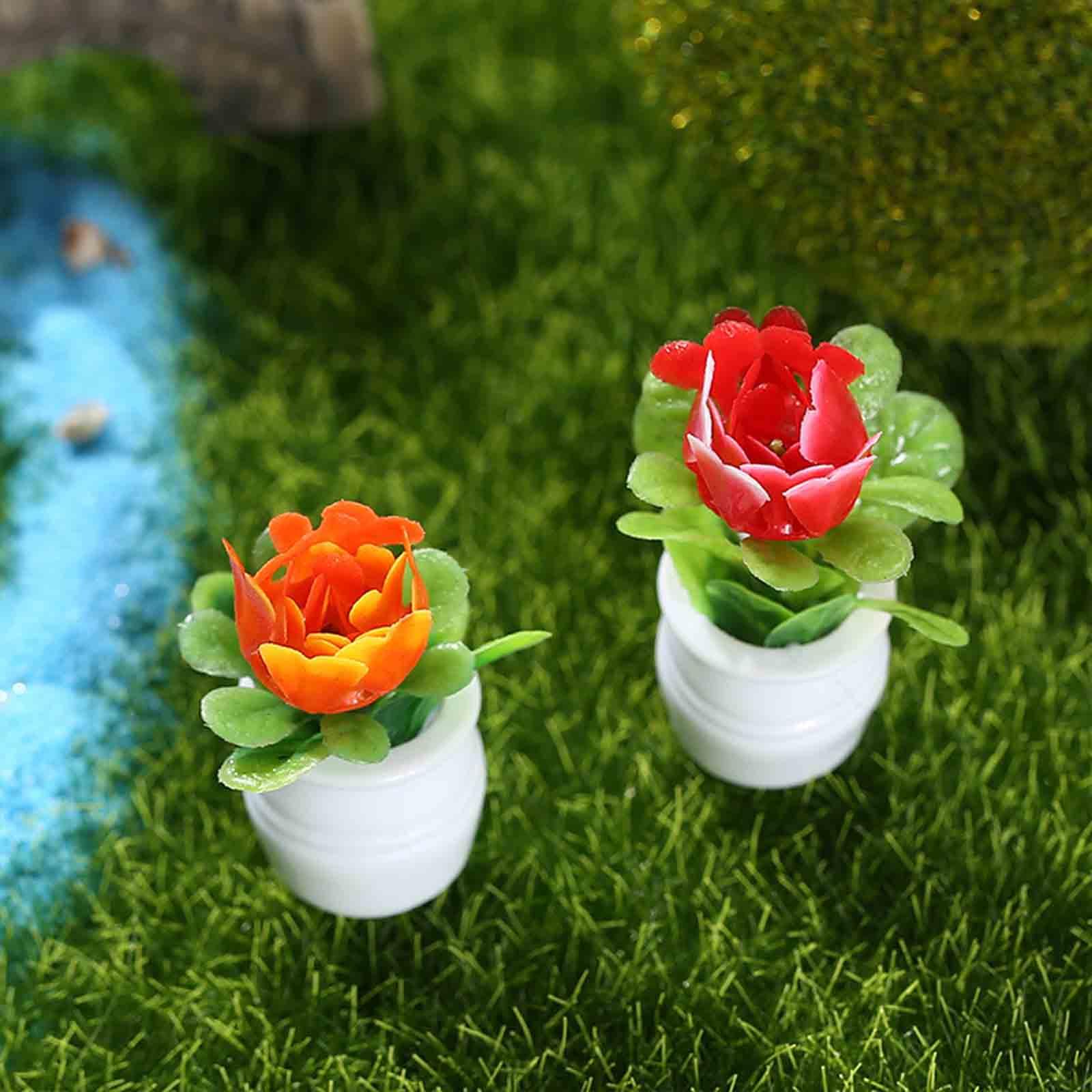 5Pcs 1:12 Dollhouse Miniature  - огляд і ціна Bonsai Garden Europe