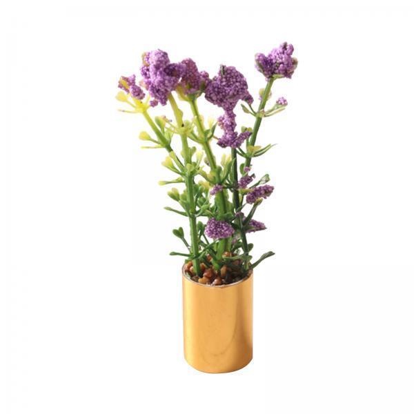 Miniature Potted Plant Ornamen - огляд і ціна Bonsai Garden Europe