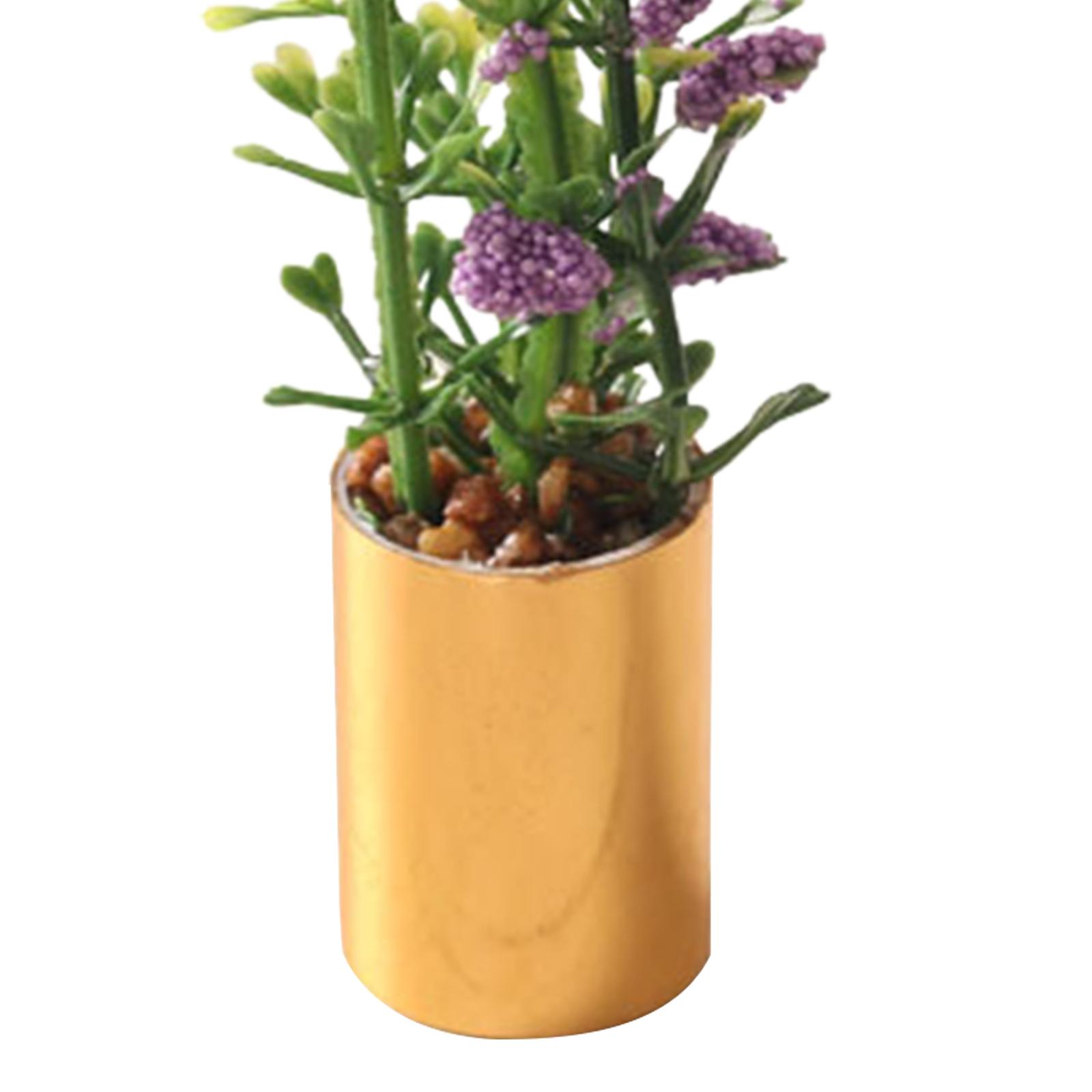 Miniature Potted Plant Ornamen - огляд і ціна Bonsai Garden Europe