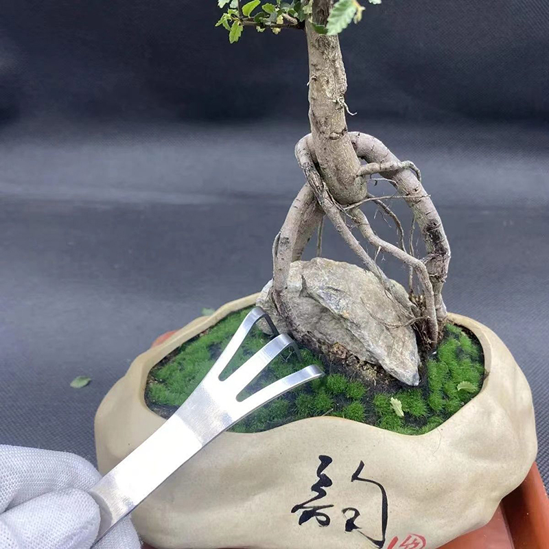 1Pc Stainless Steel Root Rake  - огляд і ціна Bonsai Garden Rake