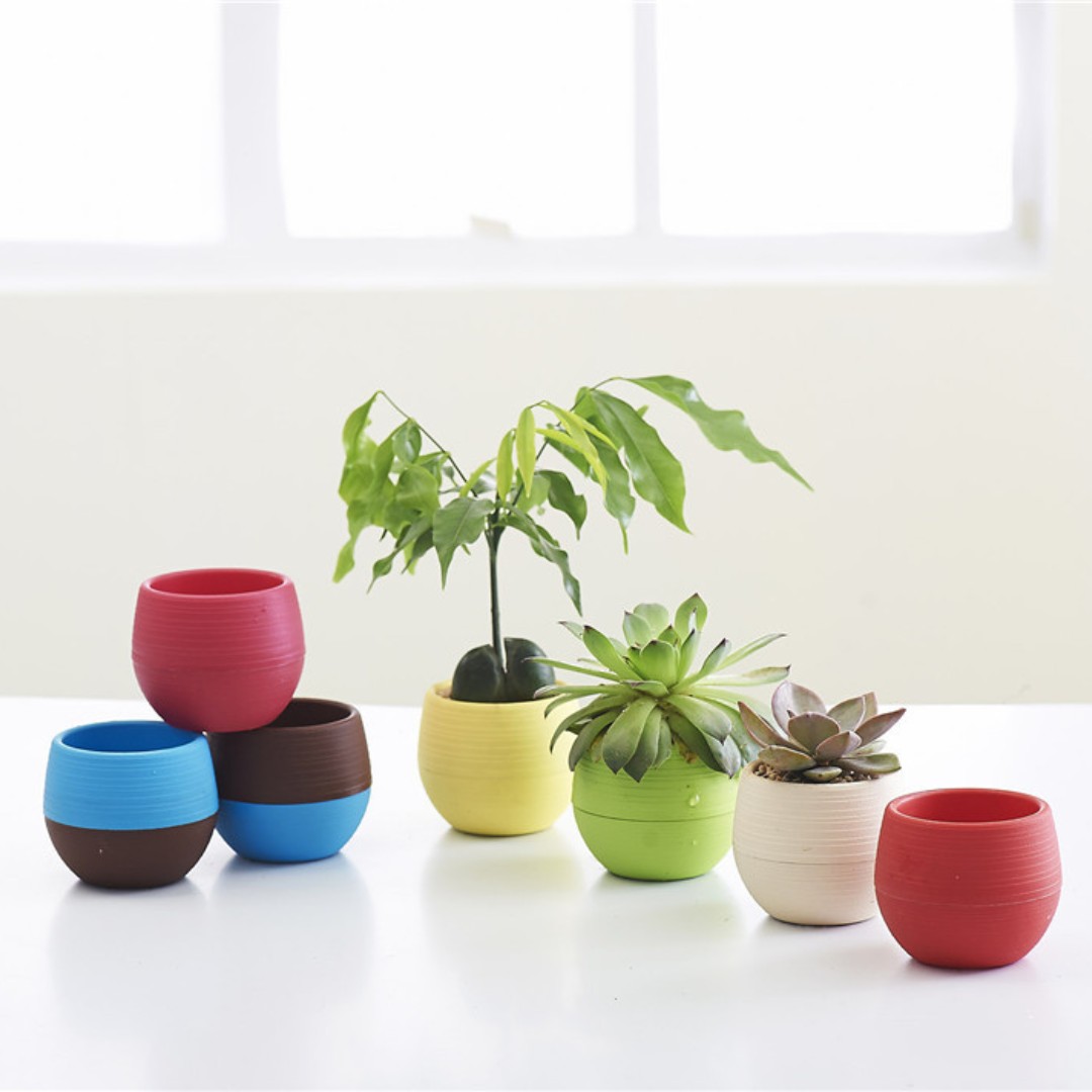 Gardening Mini Plastic Flower  - огляд і ціна Bonsai Garden Europe