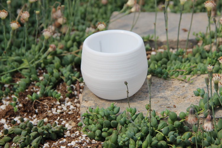Gardening Mini Plastic Flower  - огляд і ціна Bonsai Garden Europe
