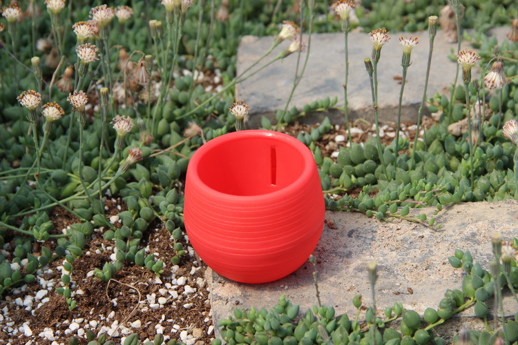 Gardening Mini Plastic Flower  - огляд і ціна Bonsai Garden Europe